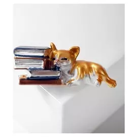 Брошь "Котёнок" на книжках, цветная в золоте