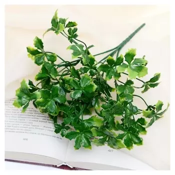 Букет "Адиантум молодой" 26 см