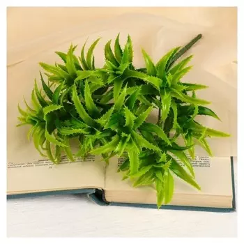 Букет "Алоэ" 27 см