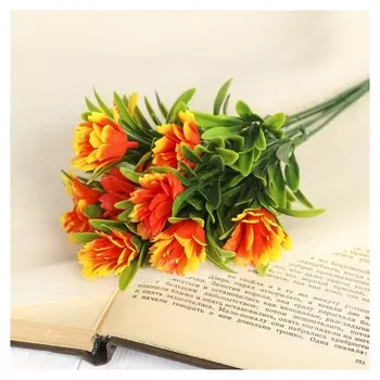 Букет "Арктотис" 25 см