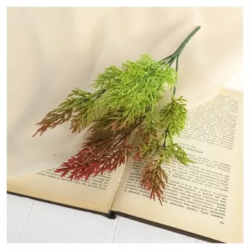 Букет "Аспарагус крупный" 30 см