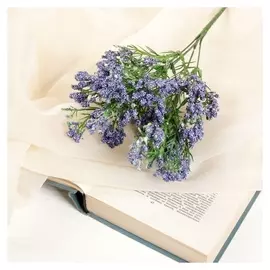 Букет "Белянка"