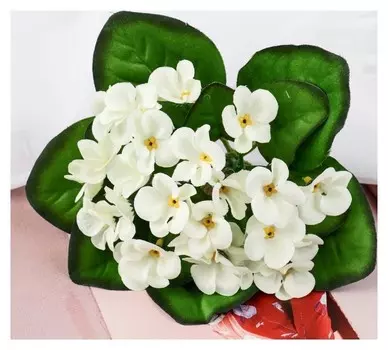 Букет "Герань душистая" 4х17 см