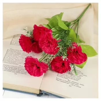 Букет "Гвоздики" 5х25 см