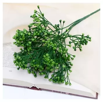 Букет "Эригерон молодой" 26 см