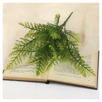 Букет "Лесной папоротник" 35 см