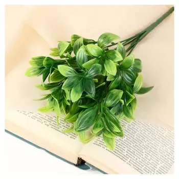 Букет "Листовик" 25 см