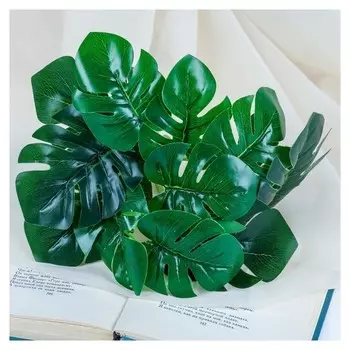 Букет "Монстера" 20 см