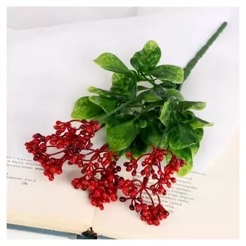 Букет "Нертера" 24 см