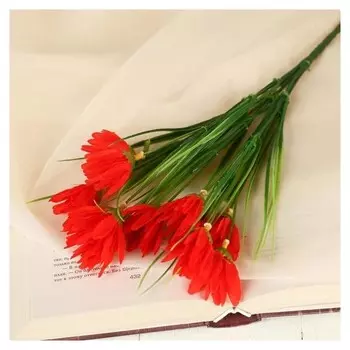 Букет "Окопник" 28 см