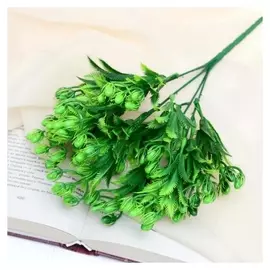 Букет "Плодоносник" 28 см