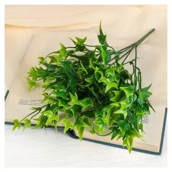 Букет "Плющ" 25 см