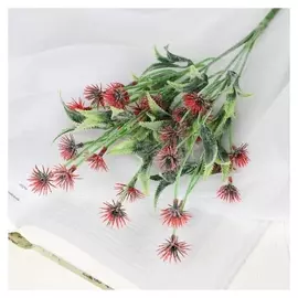 Букет "Пустынный василёк" 35 см