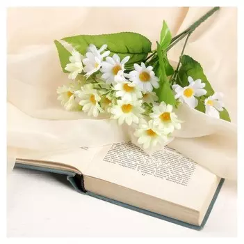 Букет "Ромашки" 30 см