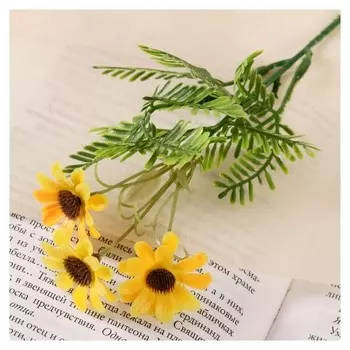 Букет "Ромашки с папоротником" 20 см