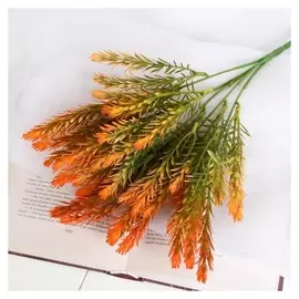 Букет "Таксодиум" 30 см