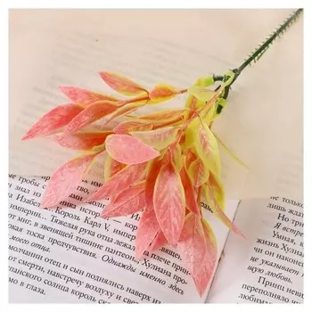 Букет Вытянутые лепестки двухцветные