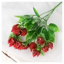 Букет "Яркий физалис" 30 см