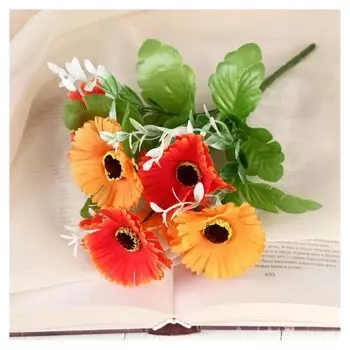 Букет "Яркий каллистефус" 28 см