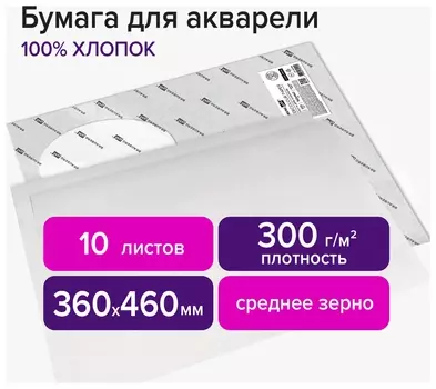 Бумага для акварели хлопок 100%, 300 г/м2, 360x460 мм, среднее зерно,10 листов, Brauberg ART "Premiere", 113226