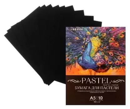 Бумага для пастели набор, А5, Devente, 10 листов, 160 г/м², чёрная, в пакете
