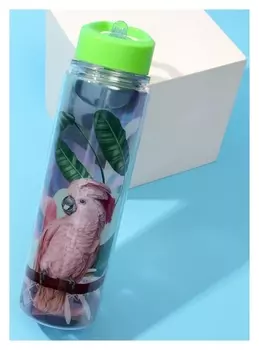 Бутылка для воды "Попугай", 550 мл