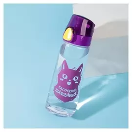 Бутылка для воды "Шаловливое настроение", 750 мл