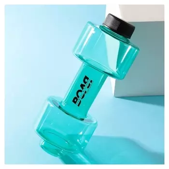 Бутылка для воды «Воля», 550 мл, 21 х 8 см