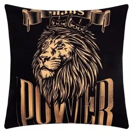 Чехол на подушку этель "Power" 40х40 см, 100% п/э, велюр