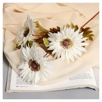 Цветы искусственные "Эхинацея" 58 см, белый