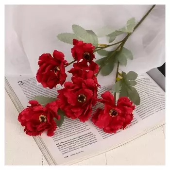 Цветы искусственные "Космея махровая" 8*58 см, бордовый