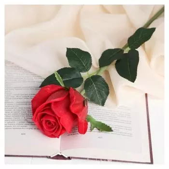 Цветы искусственные Live "Роза нежная" 6х50 см, красный