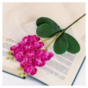 Цветы искусственные "Орхидея королевская" 3,5х28 см