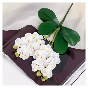 Цветы искусственные Орхидея Королевская белые