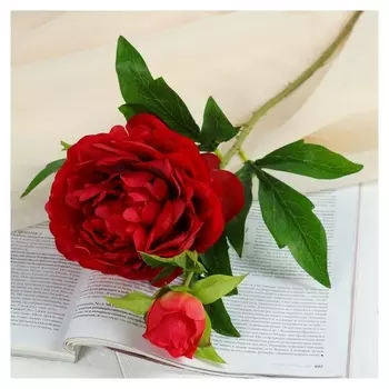 Цветы искусственные "Пион дуо" 12*60 см, красный