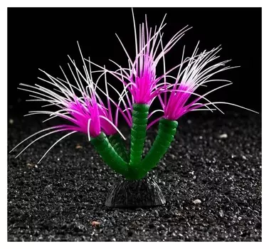 Декор для аквариума Coral Plant силиконовое, светящееся в темноте, 14 х 17 см, фиолетовый
