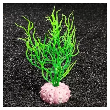 Декор для аквариума "Фораминифера", 10 х 7 х 19 см