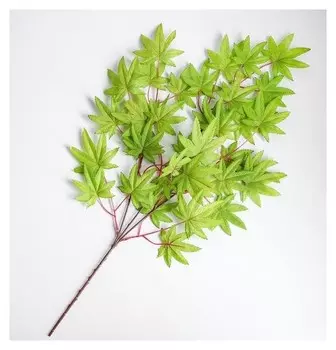 Декор «Листья на ветке» цвет зелёный