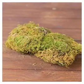 Декор "Мох", 60 гр Ws-081