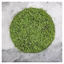 Декоративная панель, D = 50 см, «Мох с ряской»