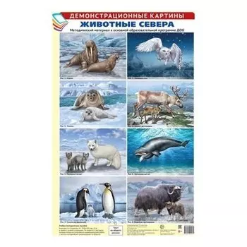 Методический материал 8 демонстрационных картин АЗ Животные севера