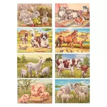 Демонстрационные картины Домашние животные 8 плакатов, А3+