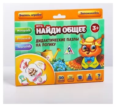 Дидактические пазлы на логику «Найди общее»