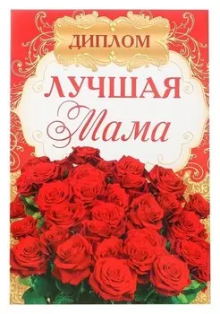 Диплом «Лучшей маме»