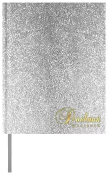 Дневник школьный 1-11 класс Holiday, цвет серебристый, 48 листов