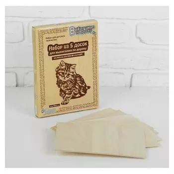 Доски для выжигания "Без рисунка. Для собственных идей", 5 шт.— 21 × 16 × 0,4 см