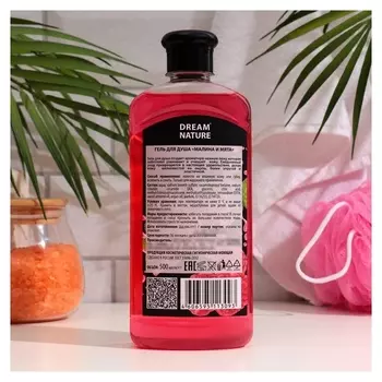 Dream Nature гель для душа "Малина и мята"