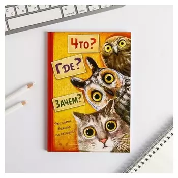 Ежедневник "Что? Где? Зачем?" А5, 80 листов