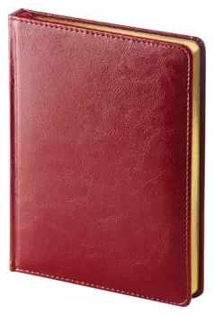 Ежедневник недатированный A6+, 136л, Sidney Nebraska бордовый 3-496/01
