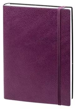 Ежедневник недатированный фиолетовый, А5, 160л., Prime Az683/violet